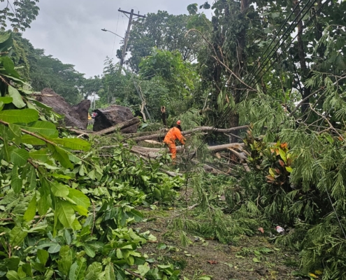 WhatsApp Image 2025-09-25 at 12.35.02 PM