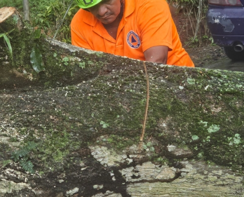 Fuertes lluvias y vientos dejan 15 incidentes en varias provincias de Panamá