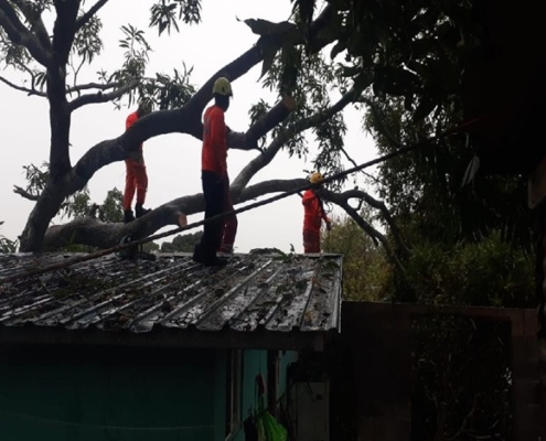 SINAPROC atiende incidentes por lluvias y fuertes vientos