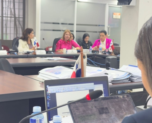 Ministra Montalvo sustenta presupuesto del Mingob 2027 ante la Comisión de Presupuesto