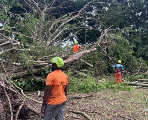 Sinaproc reporta 19 incidentes en cinco provincias tras lluvias y vientos