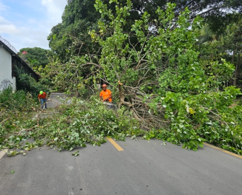 Sinaproc reporta 19 incidentes en cinco provincias tras lluvias y vientos