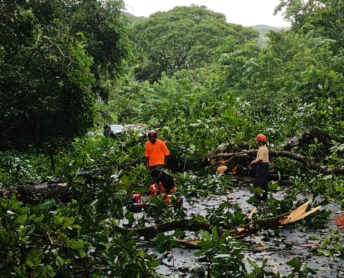 Sinaproc reporta 19 incidentes en cinco provincias tras lluvias y vientos